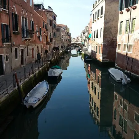 Veneziacentopercento Ole *