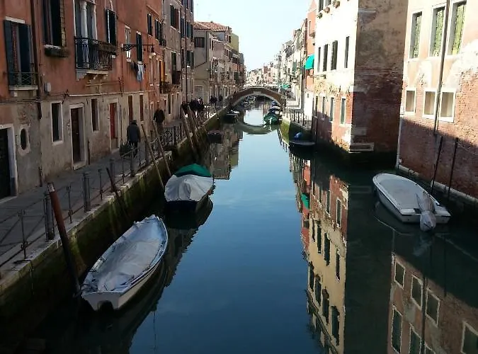 Veneziacentopercento Ole *